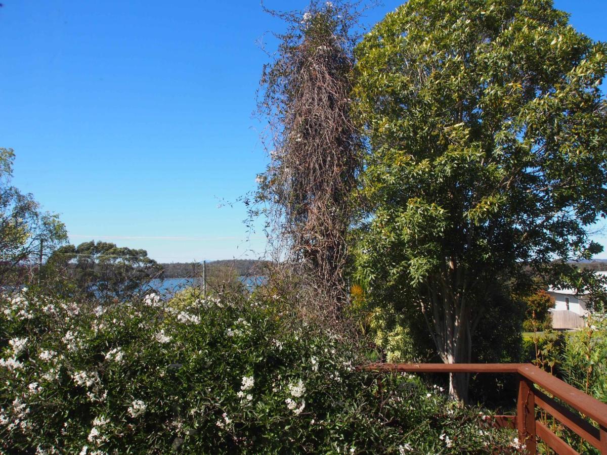 Cosy, Comfortable Cottage - Views & Location Plus Beauty Point Exterior foto